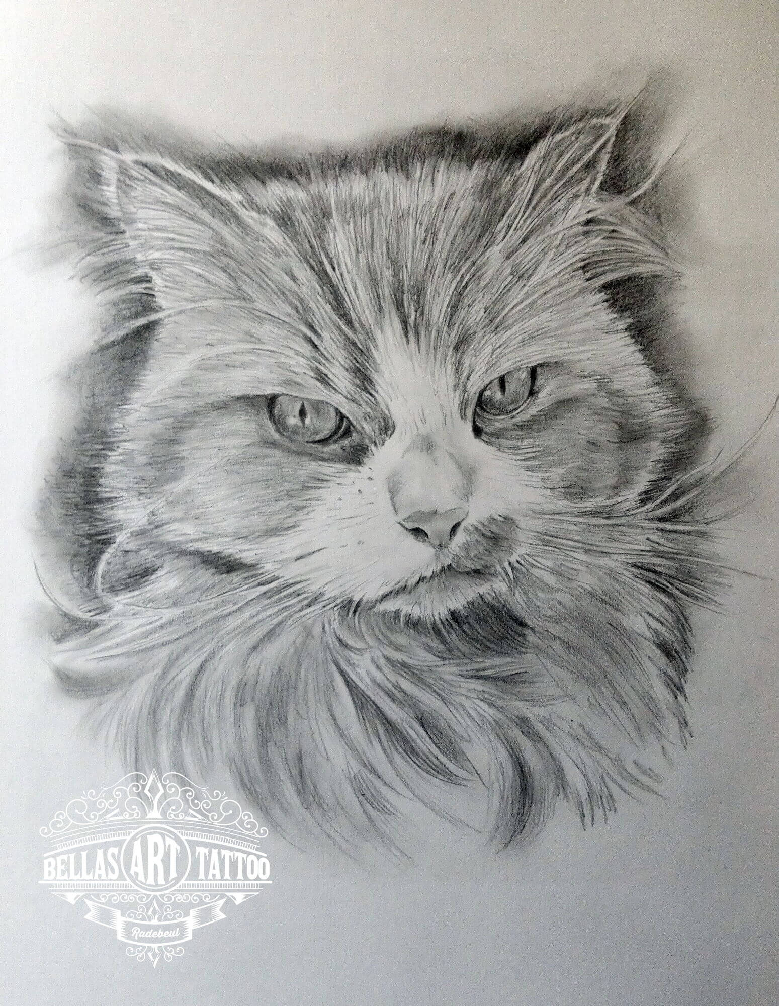 Katze